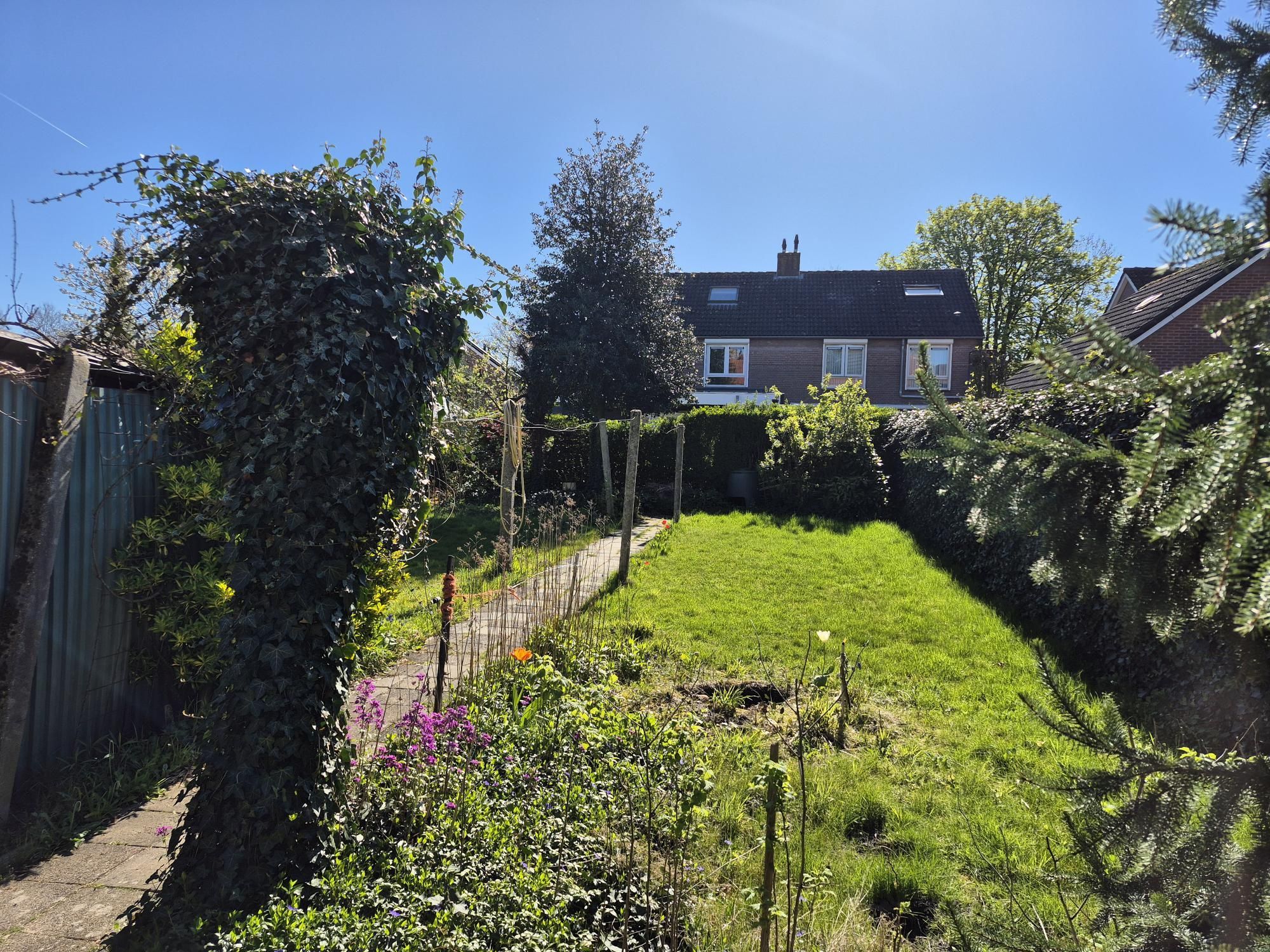 Foto 3 van Volderstraat 24