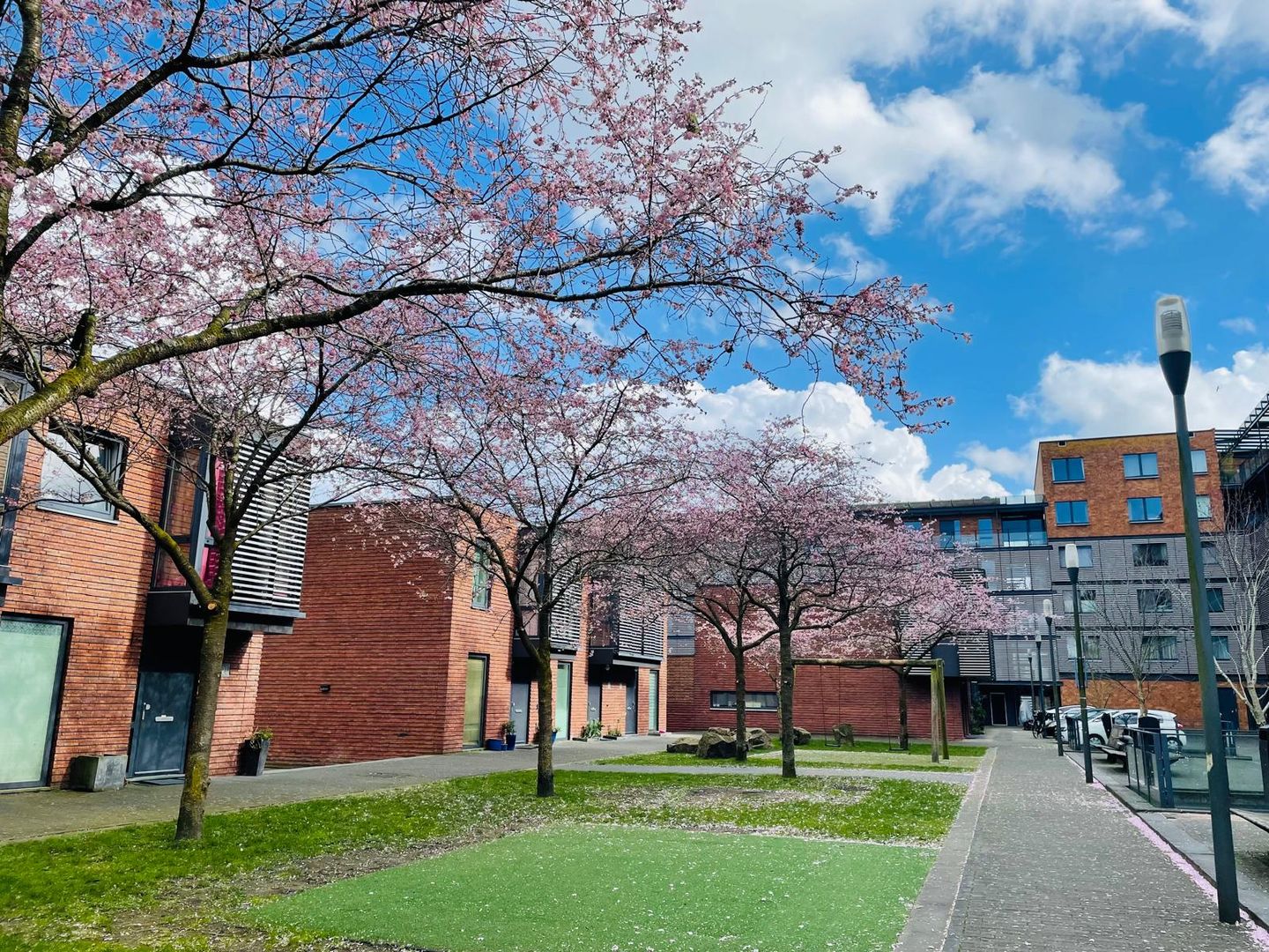 Photo 34 of Gerard Ruttenhof 31