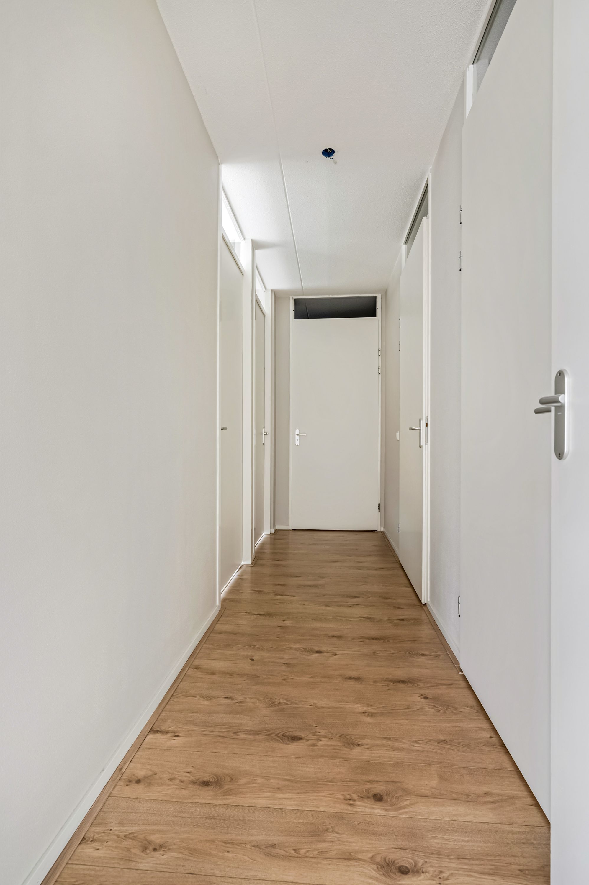 Photo 12 of Wadestein 70