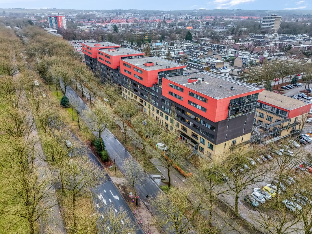 Photo 26 of Wadestein 70