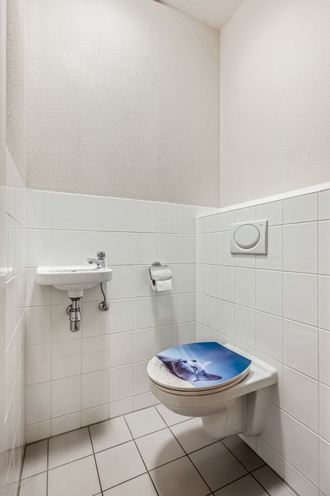 Photo 13 of Wadestein 70