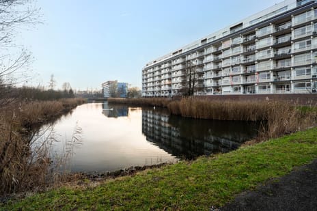Leeuwstraat thumbnail