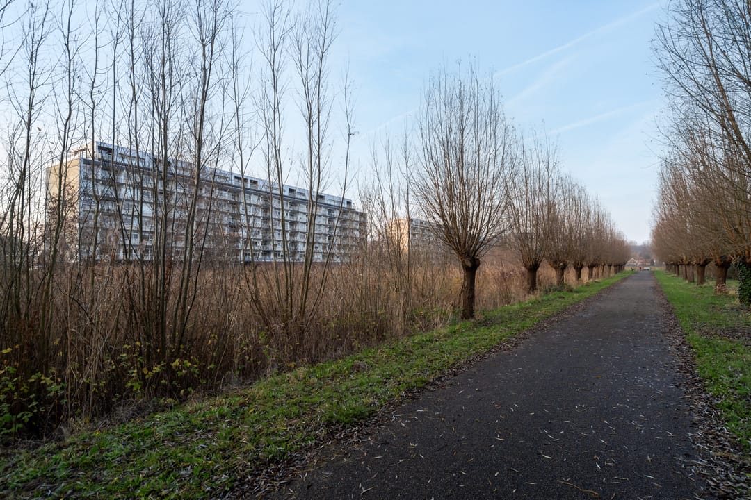 Photo 37 of Leeuwstraat 30
