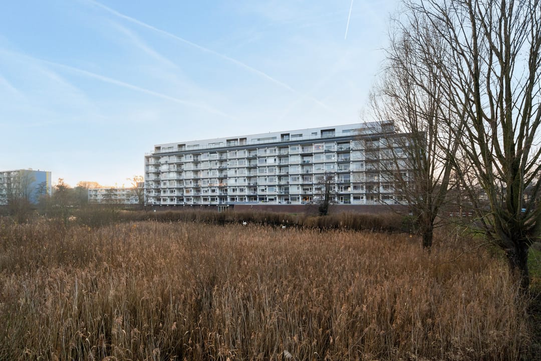 Photo 38 of Leeuwstraat 30