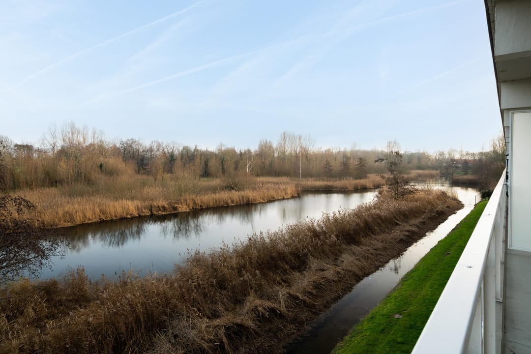Photo 22 of Leeuwstraat 30