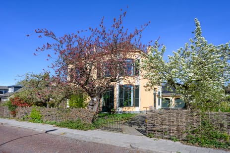 Wilhelminastraat thumbnail