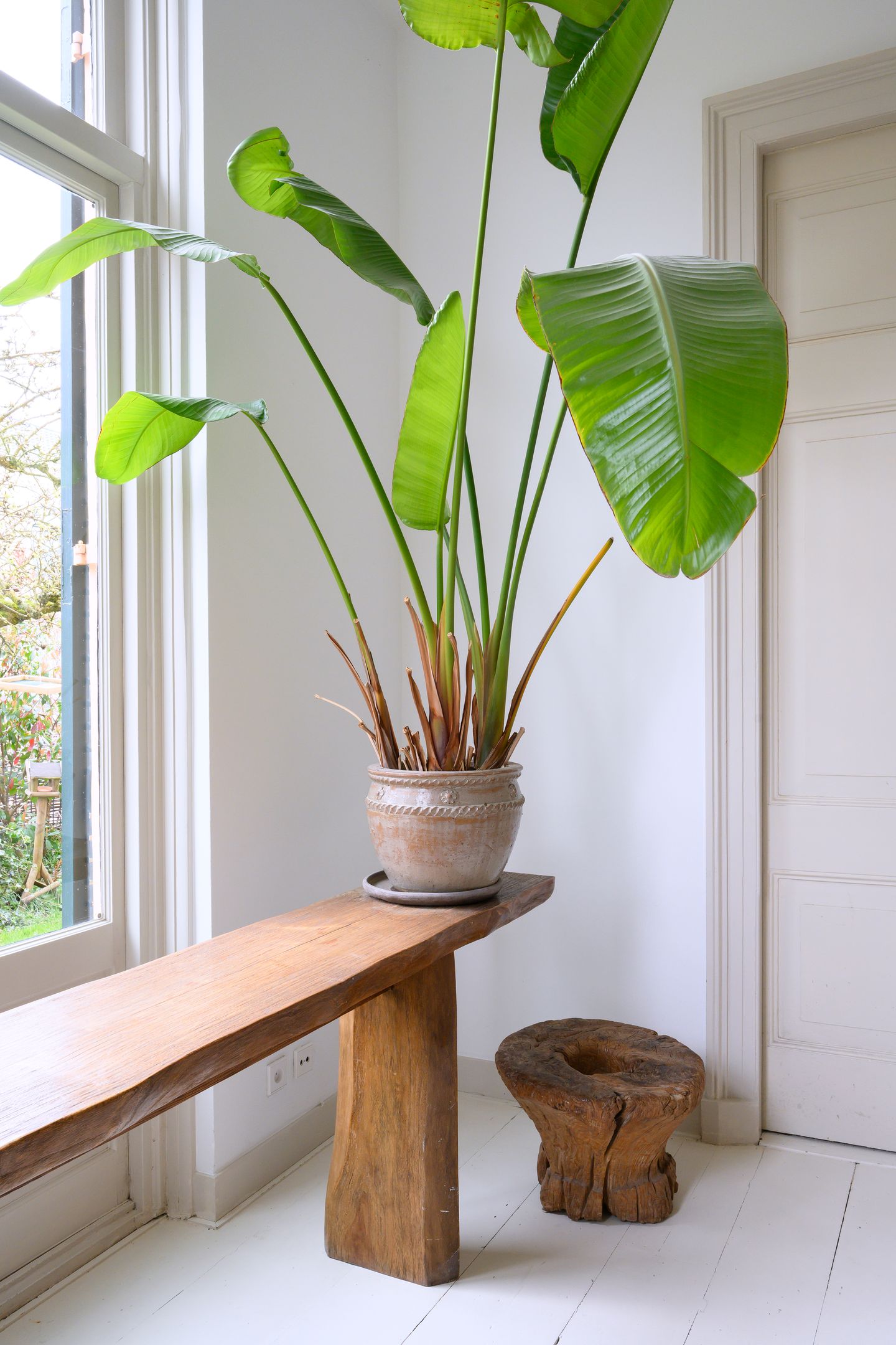 Foto 14 van Wilhelminastraat 17