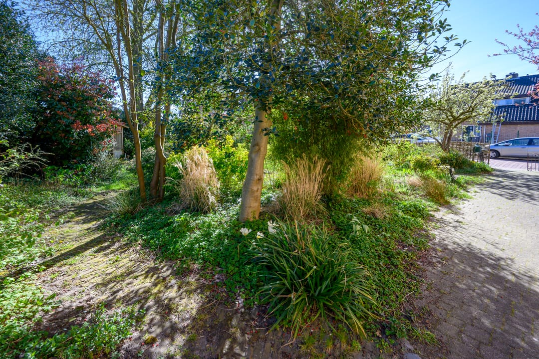 Foto 61 van Wilhelminastraat 17