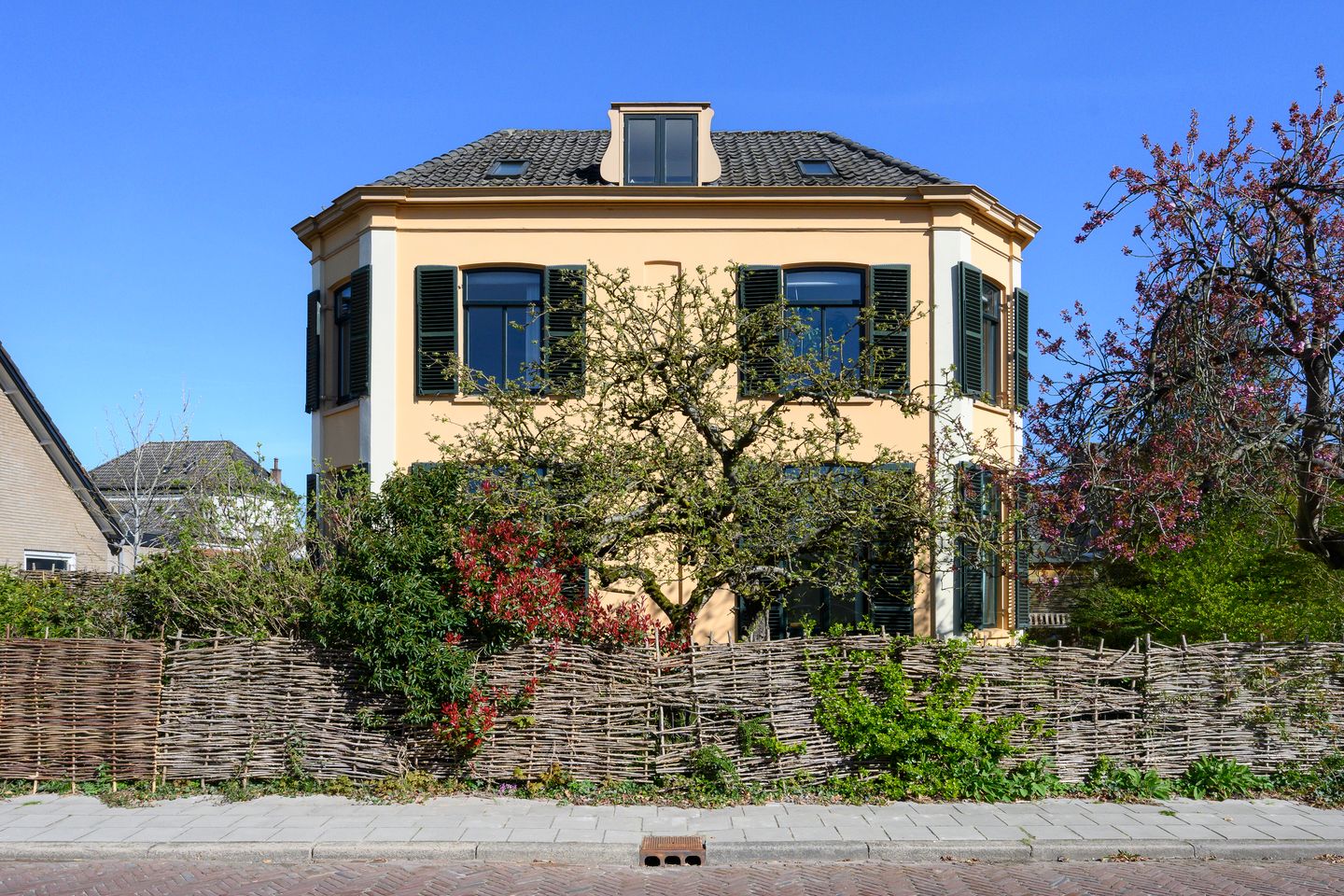 Wilhelminastraat 17