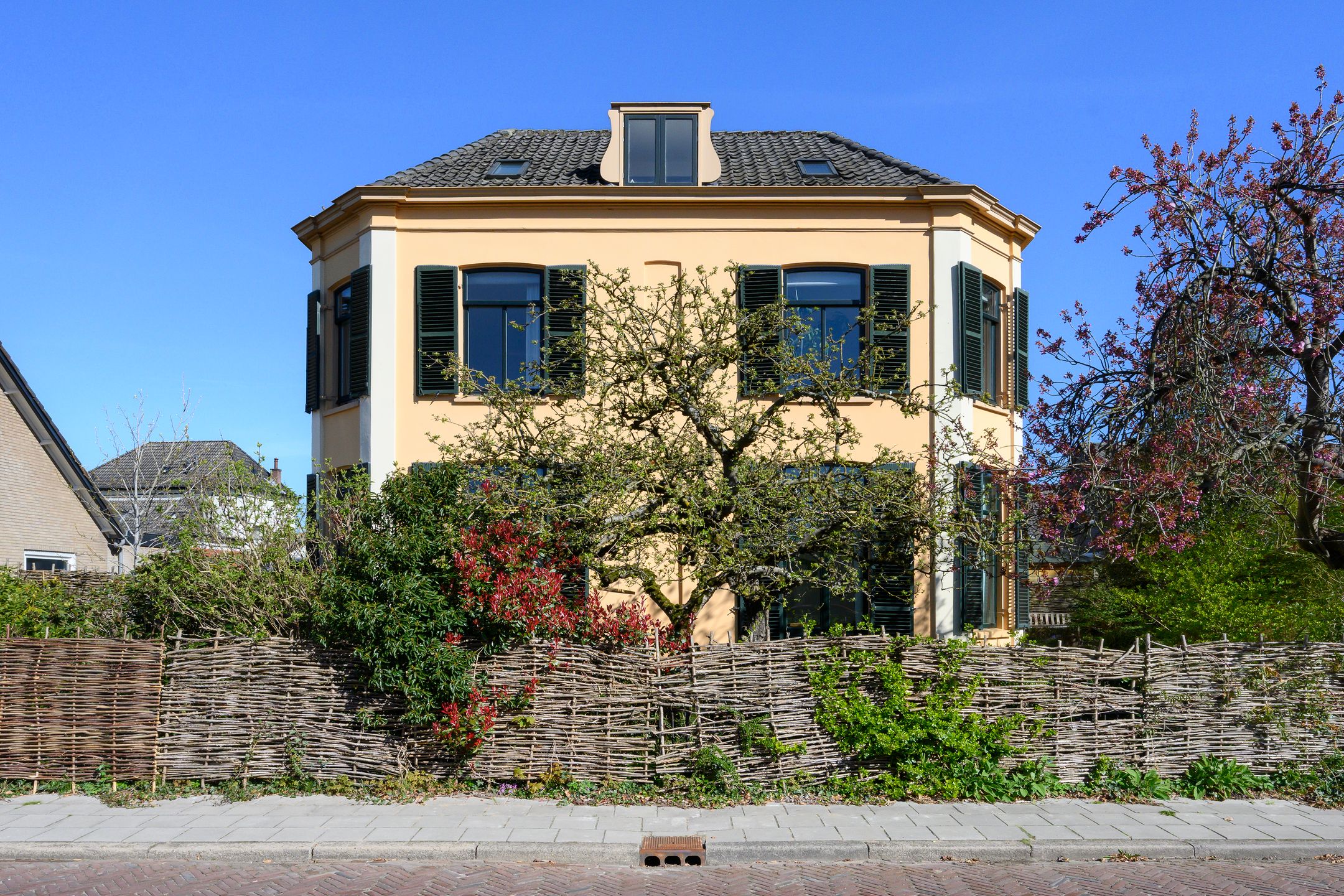Wilhelminastraat 17 