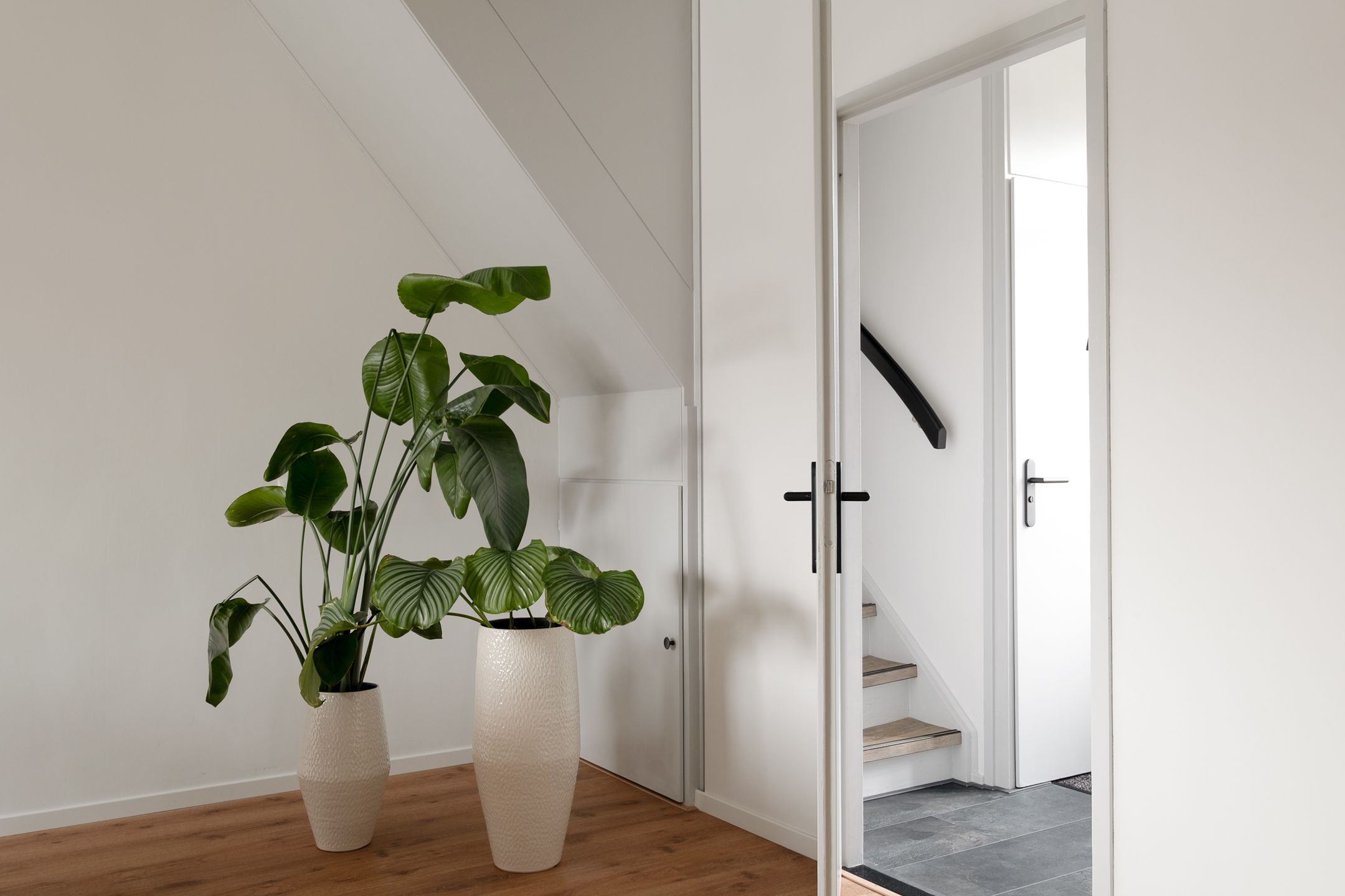 Foto 9 van Möllenbergstraat 57