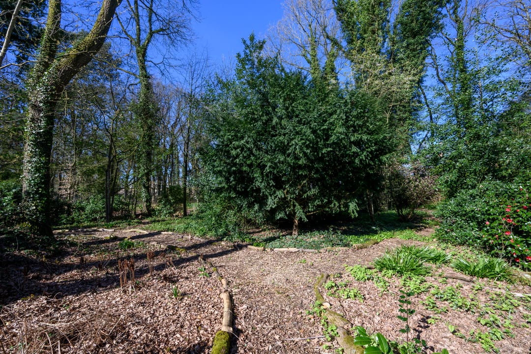 Photo 37 of Soerense Zand Noord 18