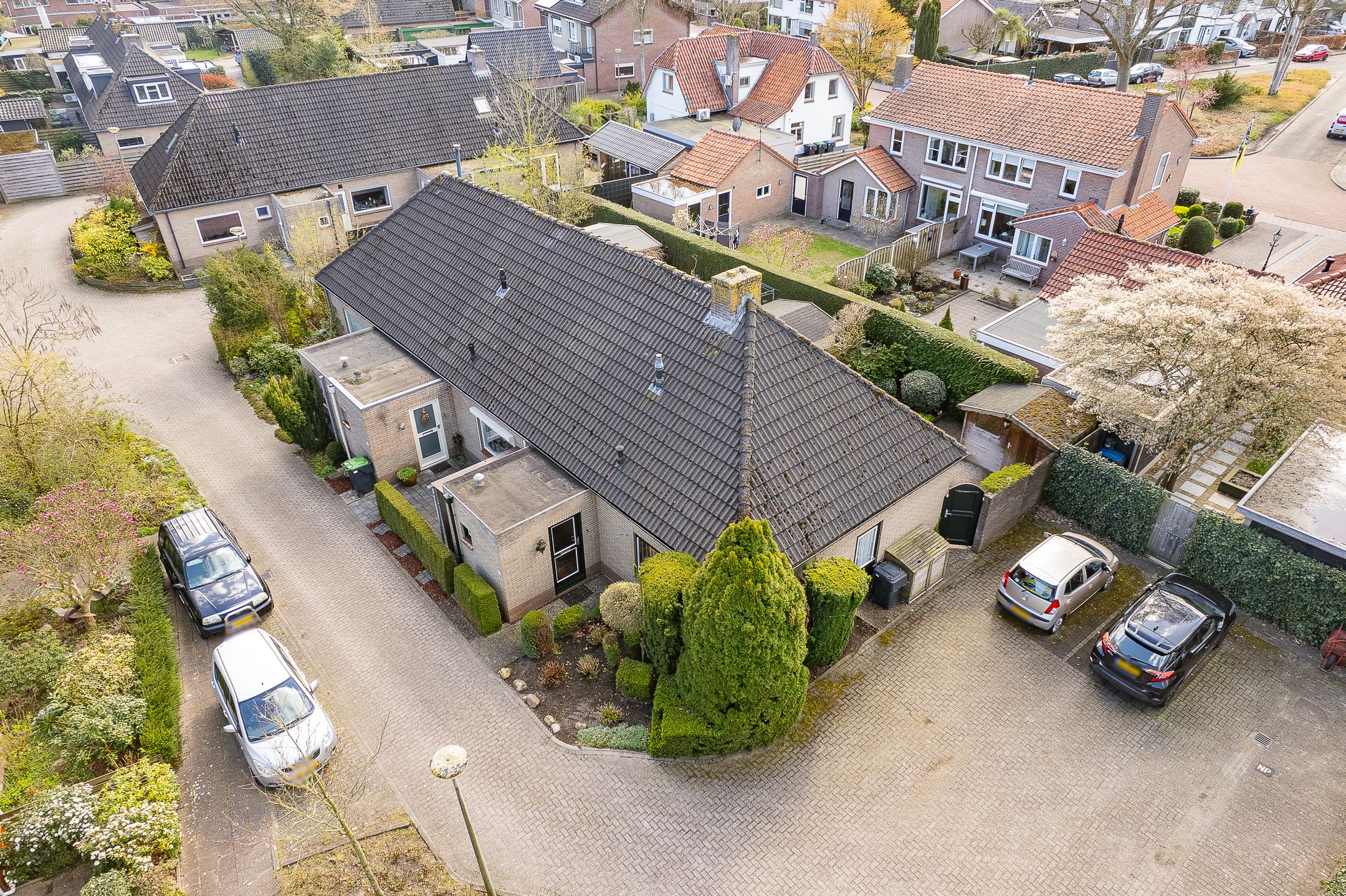 Foto 6 van Notaris Meesterserf 11