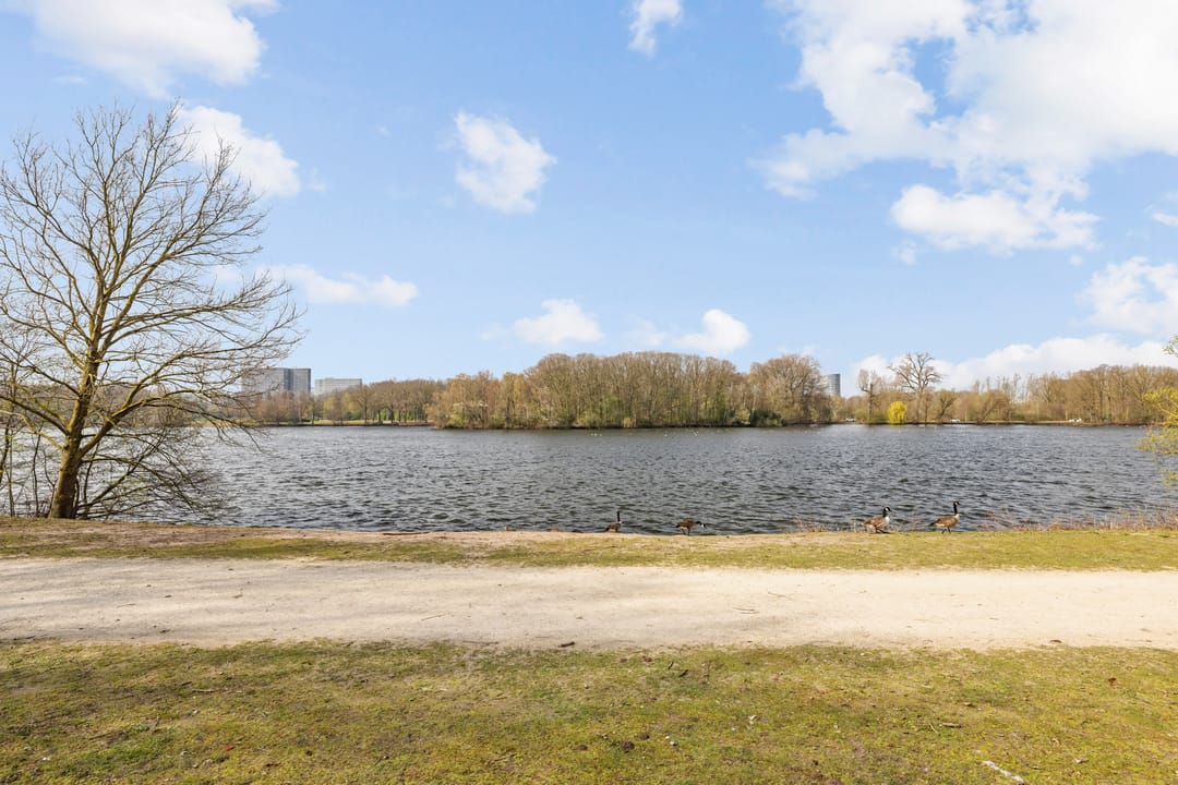 Photo 76 of van Oldenbarneveltlaan 20