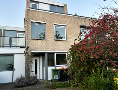undefined main image