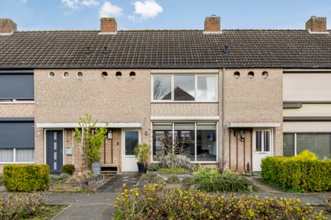 Adriaen Brouwerstraat thumbnail