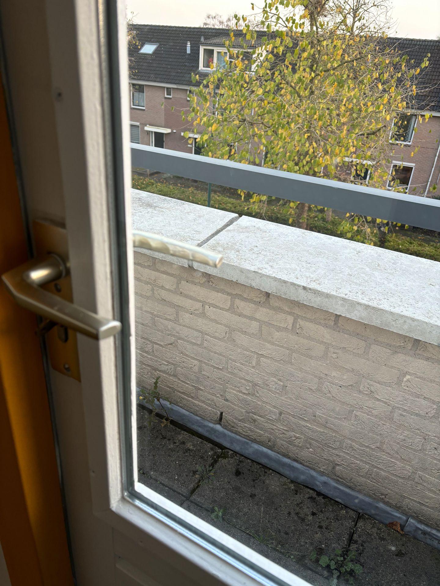 Foto 19 van Buitenweg 291