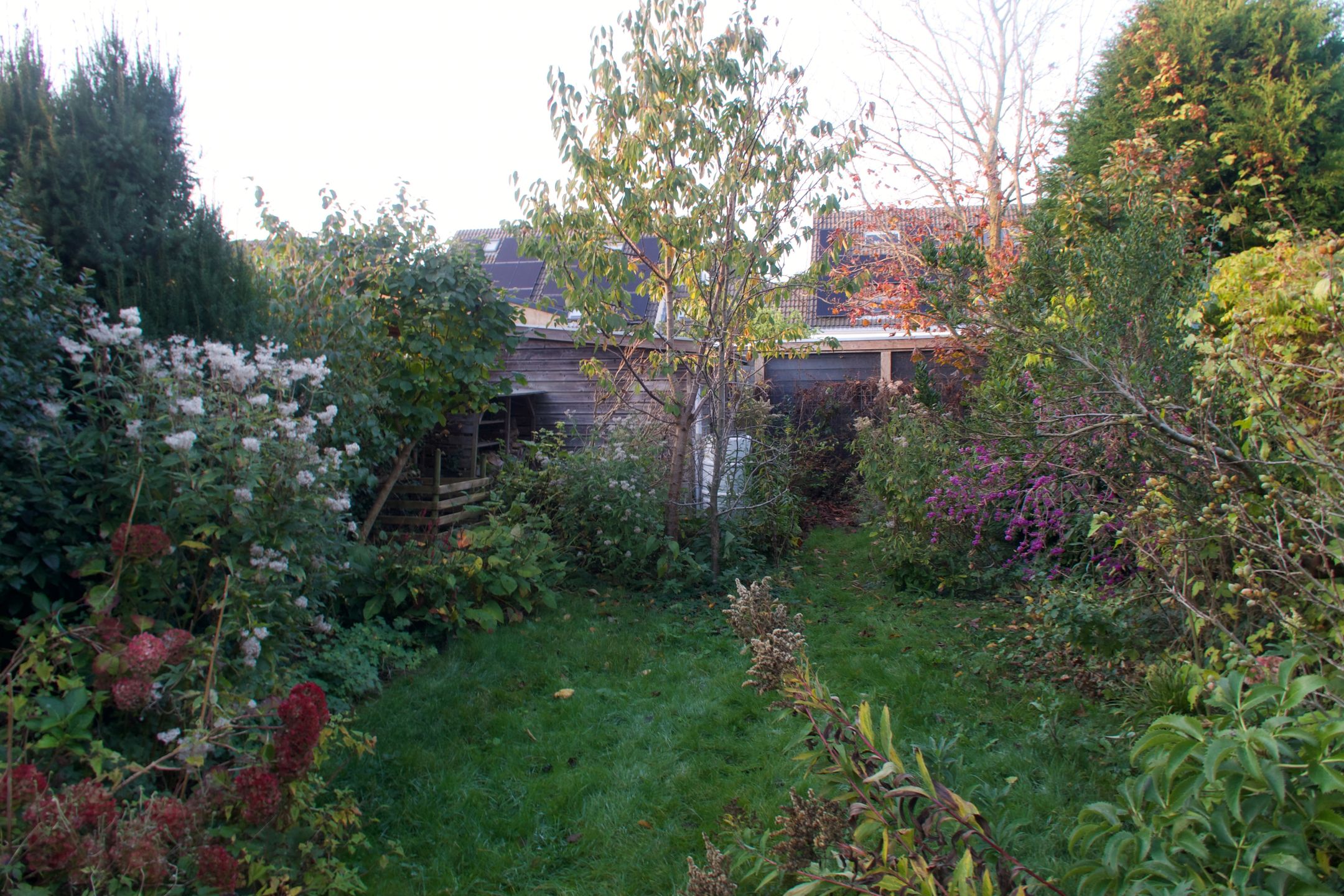 Foto 6 van Buitenweg 291