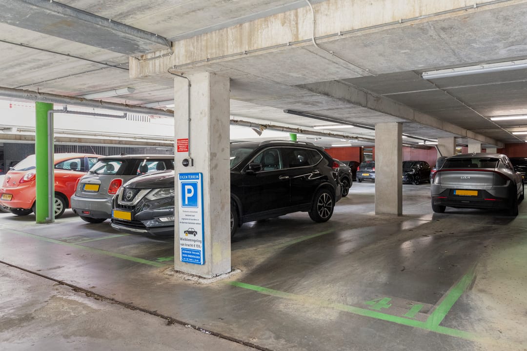 Photo 28 of Albatrospad 8