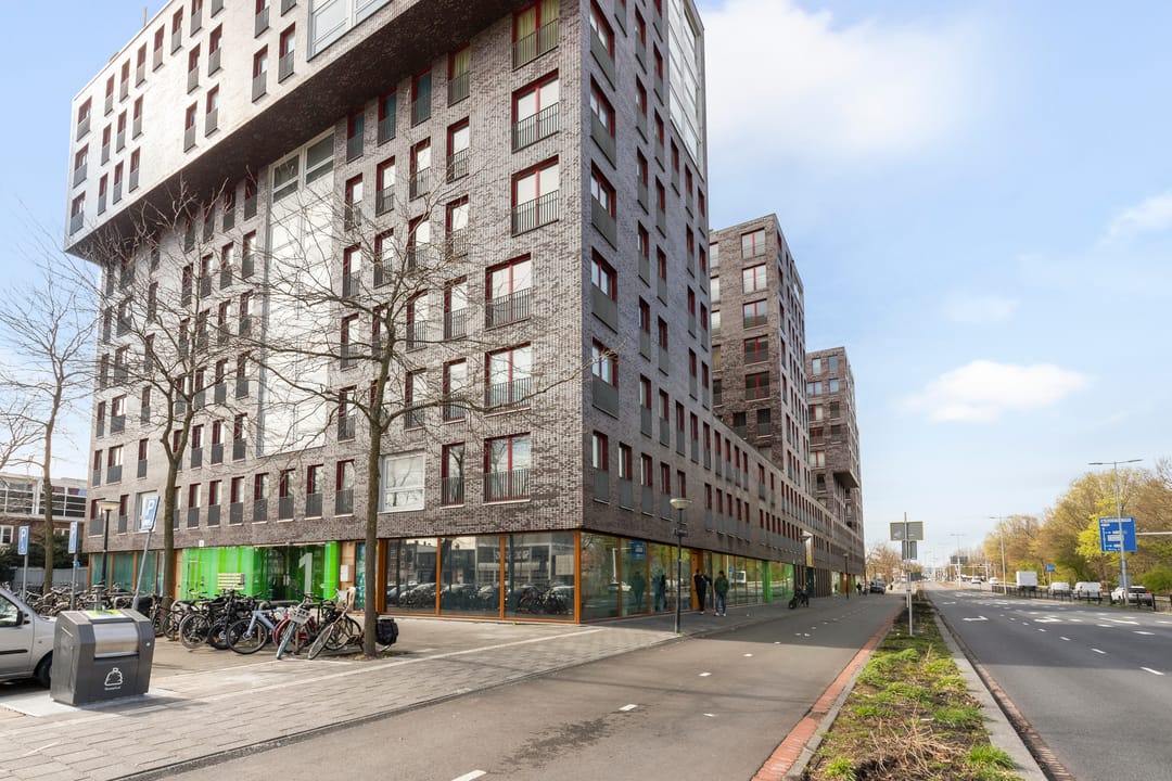 Photo 31 of Albatrospad 8