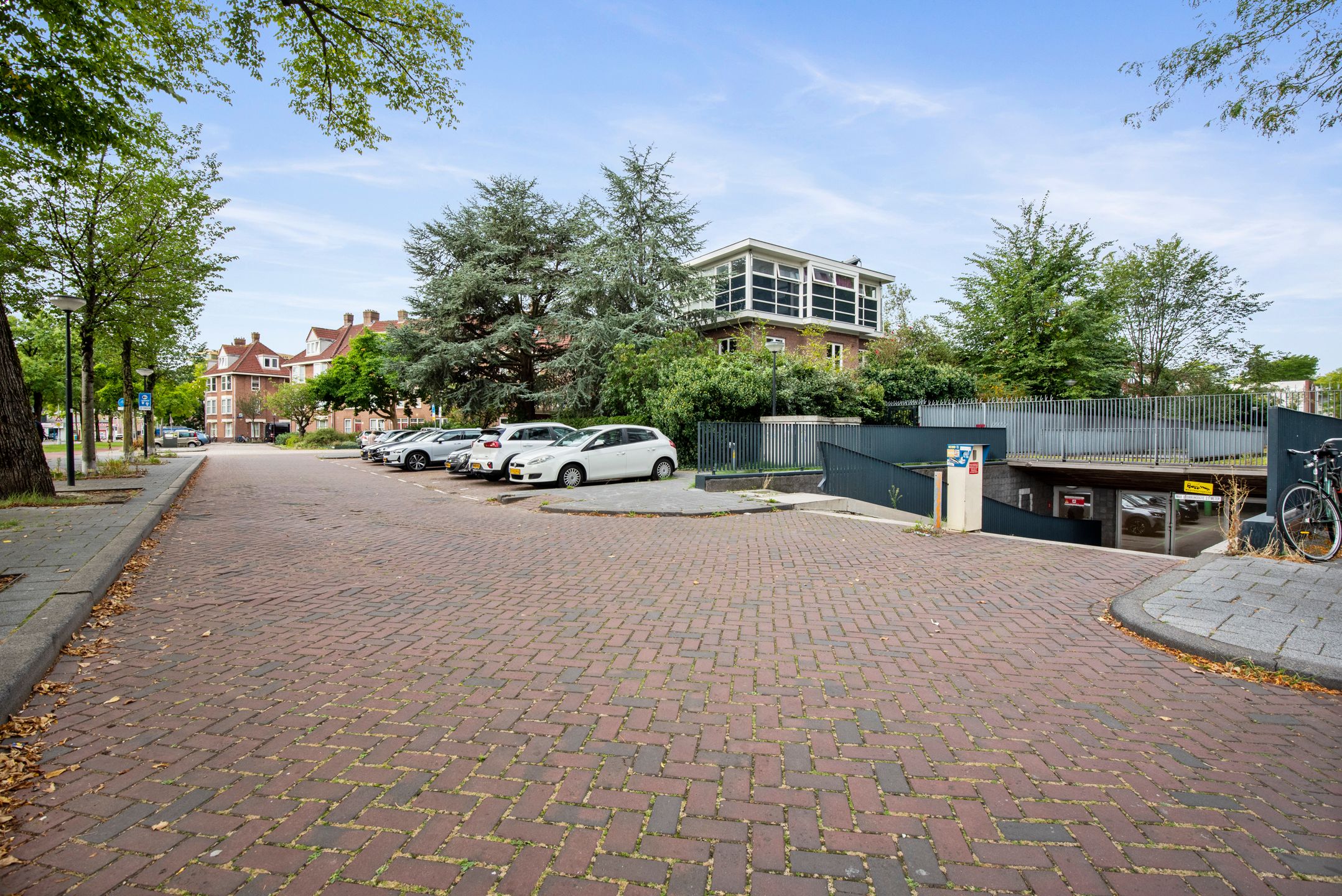 Photo 33 of Albatrospad 8