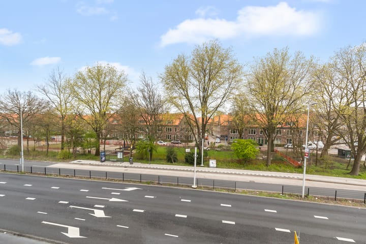 Photo 4 of Albatrospad 8