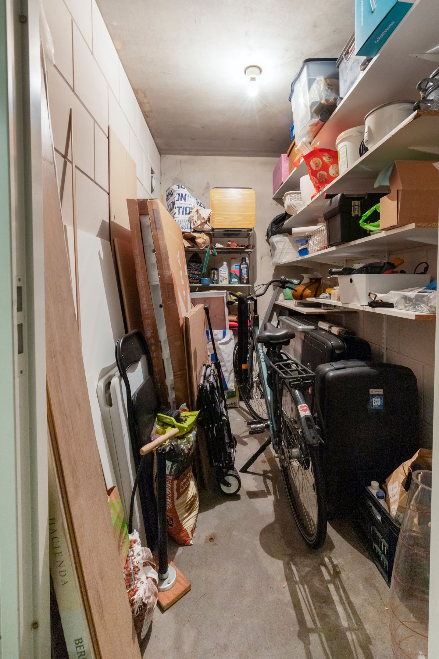 Photo 29 of Albatrospad 8