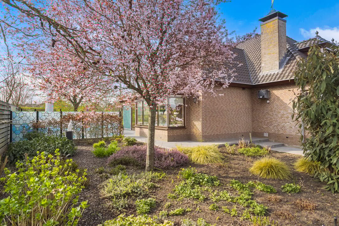 Foto 43 van Wilhelminastraat 79