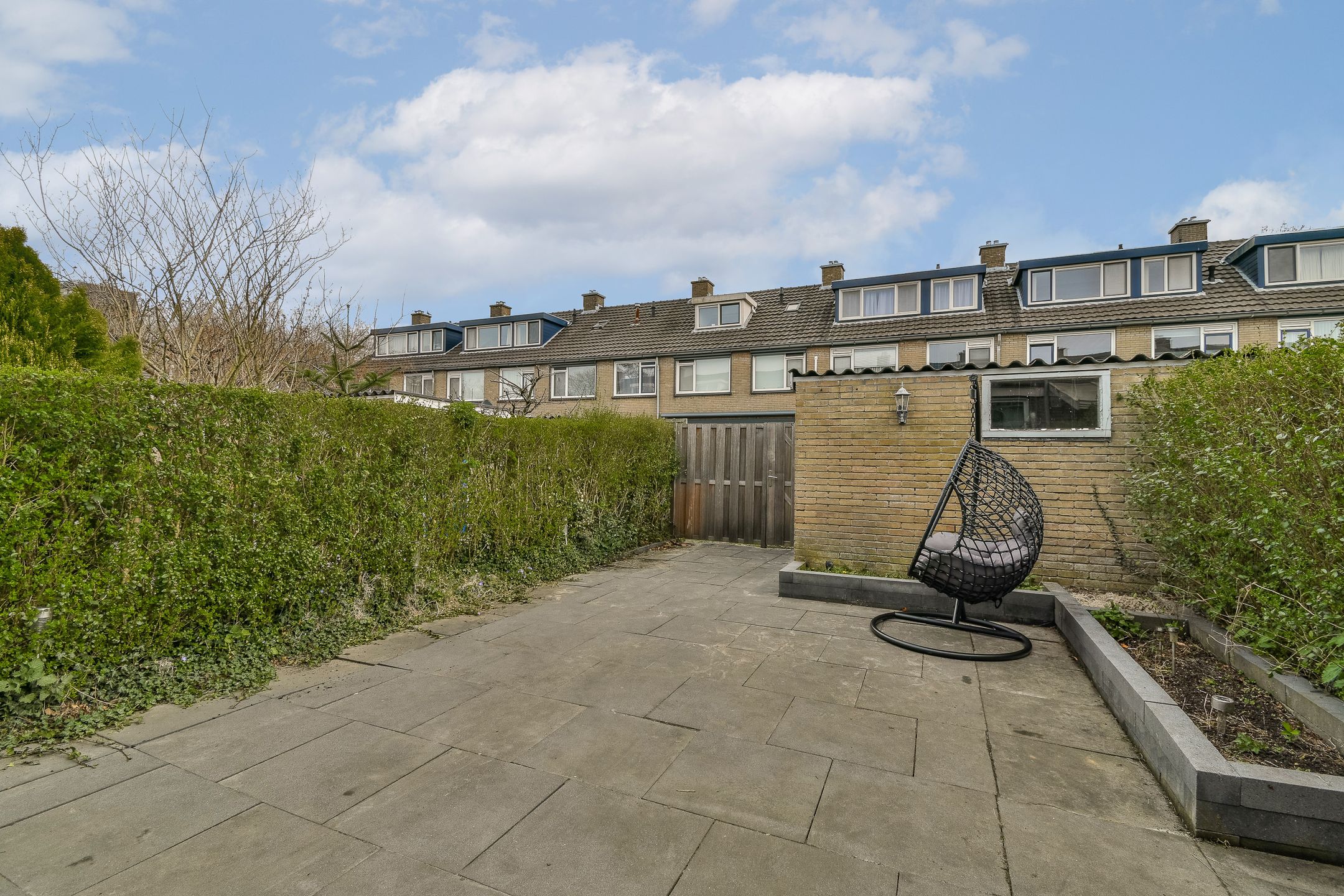 Foto 12 van Egelkruid 10