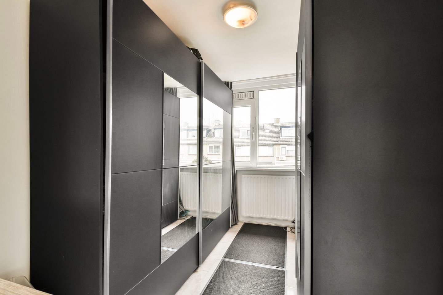 Foto 20 van Egelkruid 10