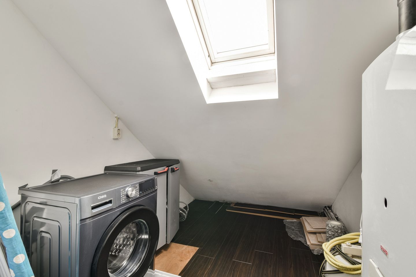 Foto 25 van Egelkruid 10