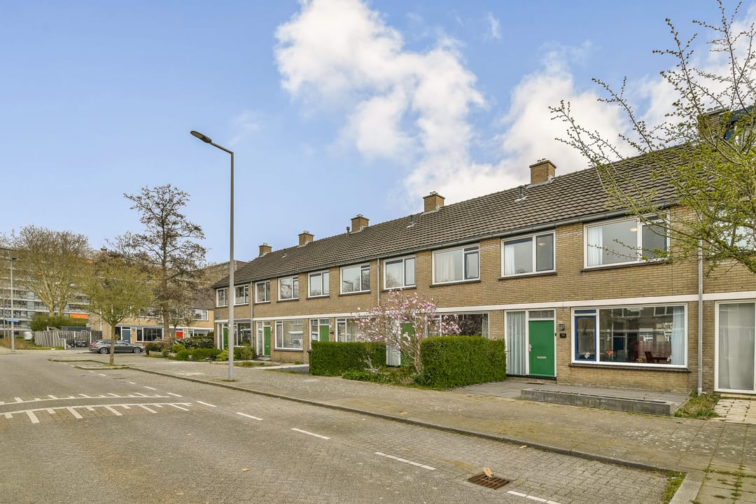 Foto 26 van Egelkruid 10