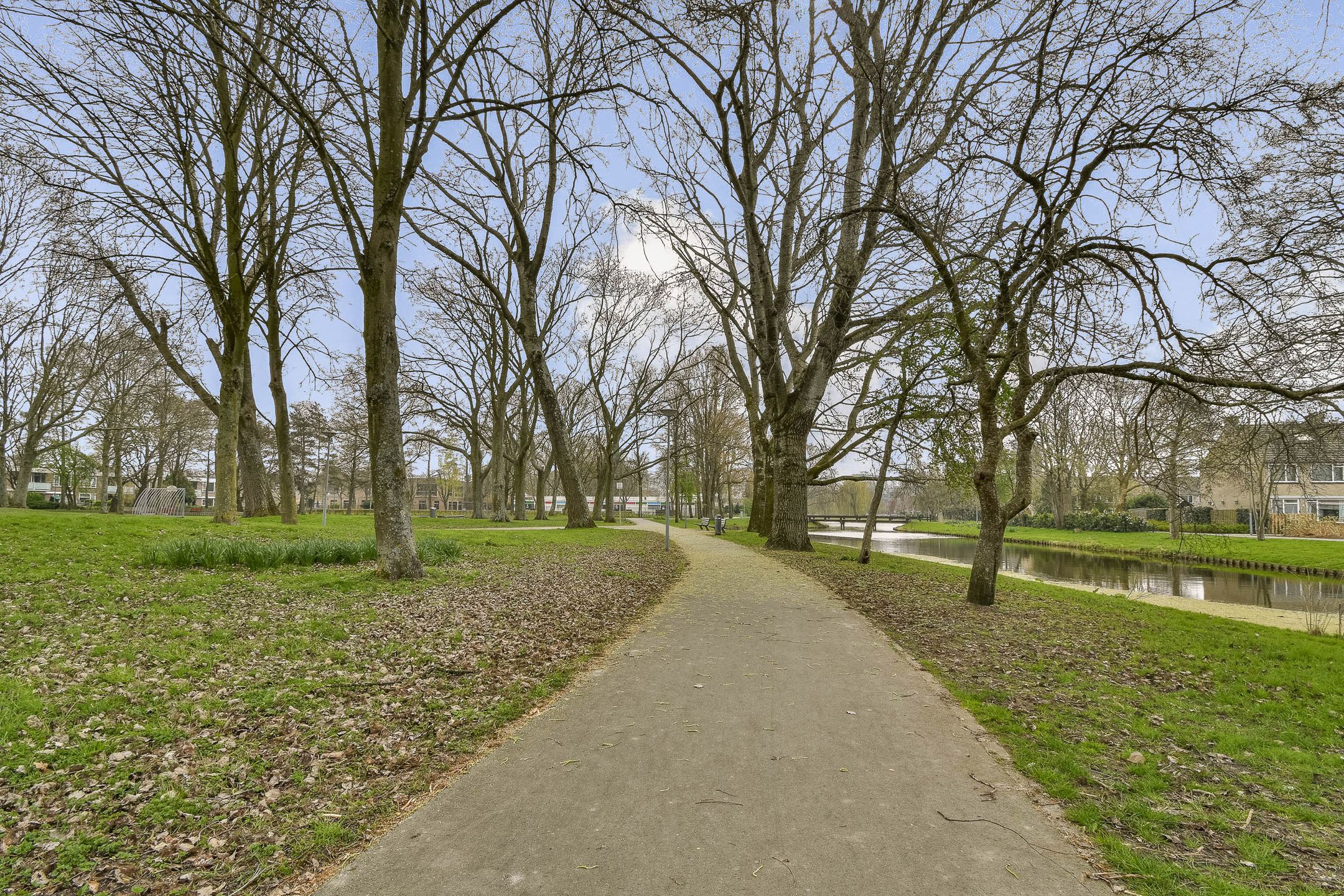 Foto 27 van Egelkruid 10