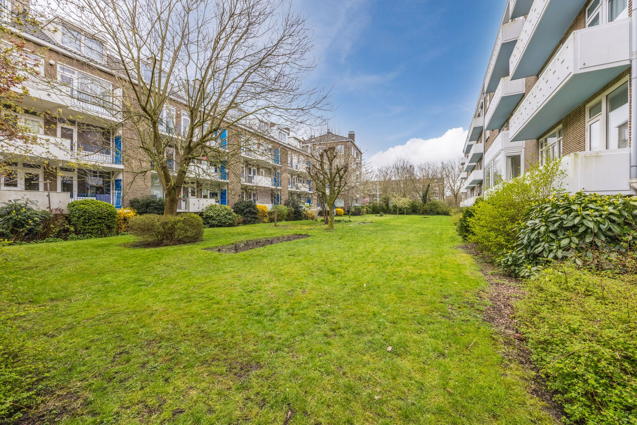 Foto 45 van Paulinastraat 41