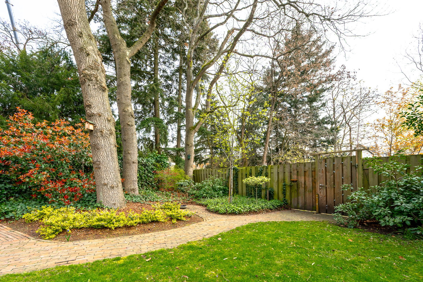 Foto 29 van Bethaniëplein 6