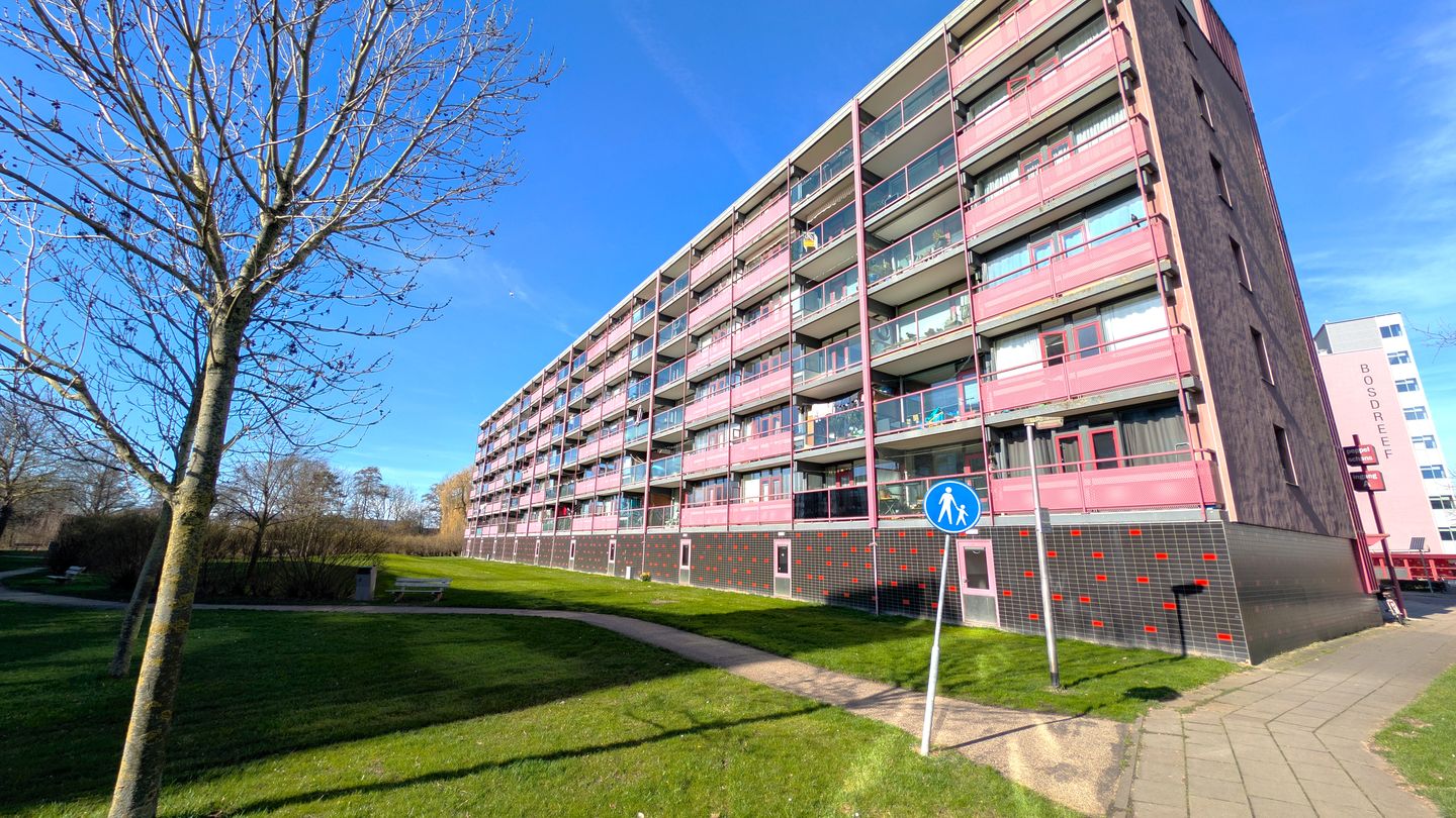 Foto 29 van Peppelschans 29