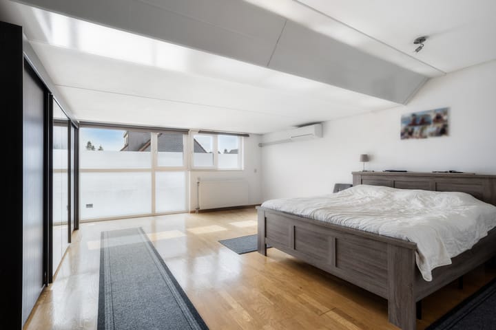 Foto 3 van Kalmoes 13