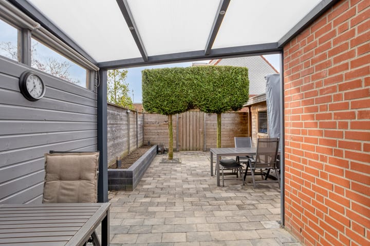 Foto 4 van Kalmoes 13