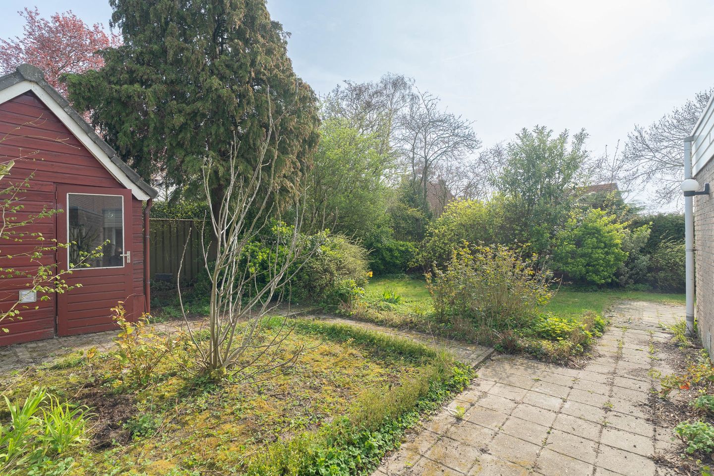 Photo 50 of Braillestraat 7