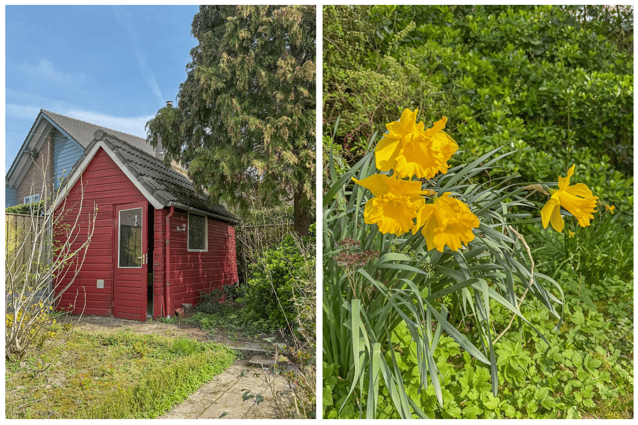 Photo 51 of Braillestraat 7