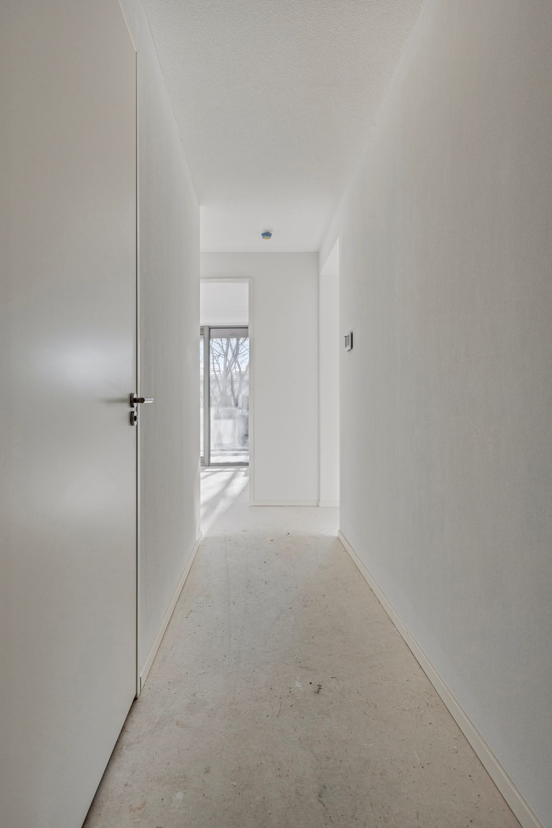 Photo 7 of Plesostraat 219