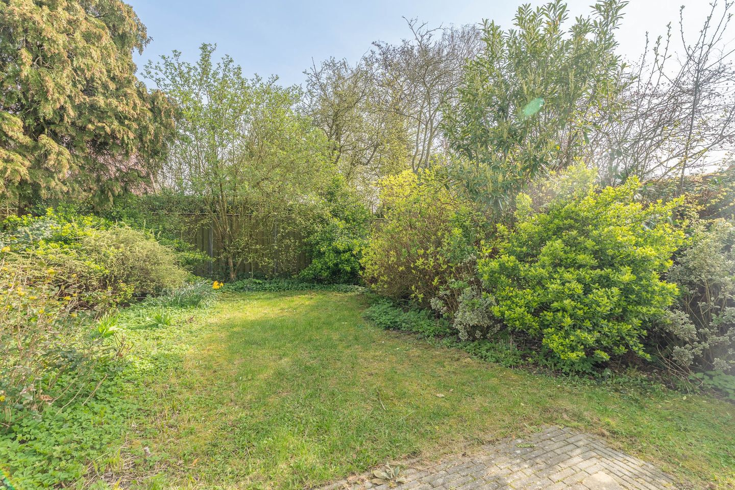 Photo 49 of Braillestraat 7