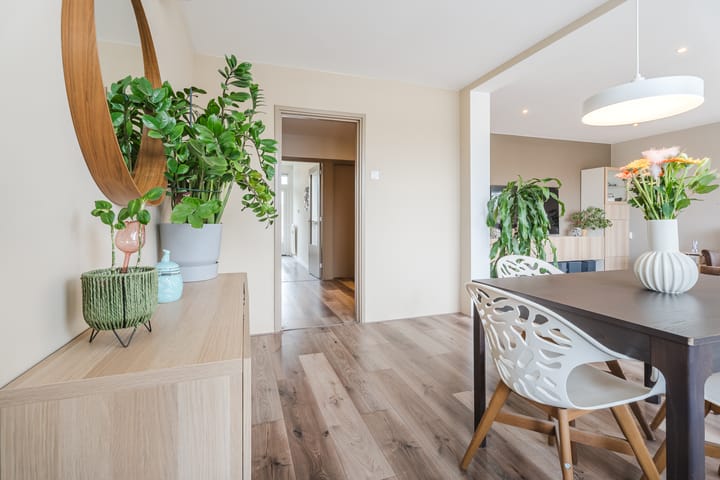 Photo 3 of Cartesiusstraat 58