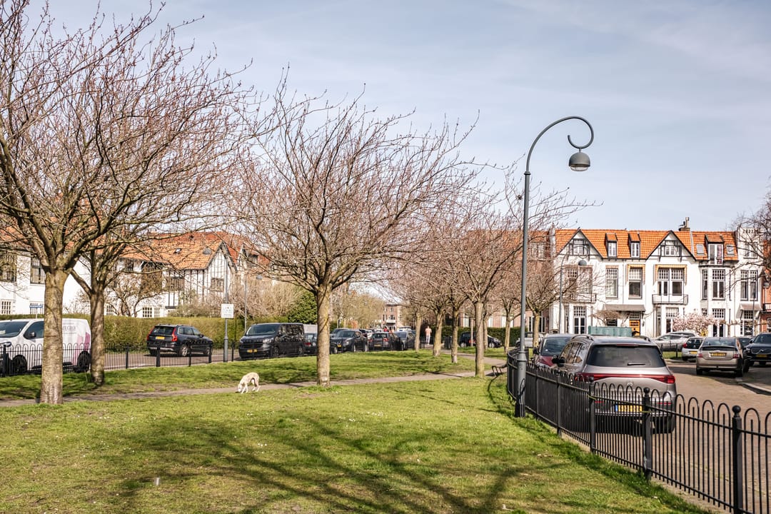 Photo 71 of Zomerluststraat 20