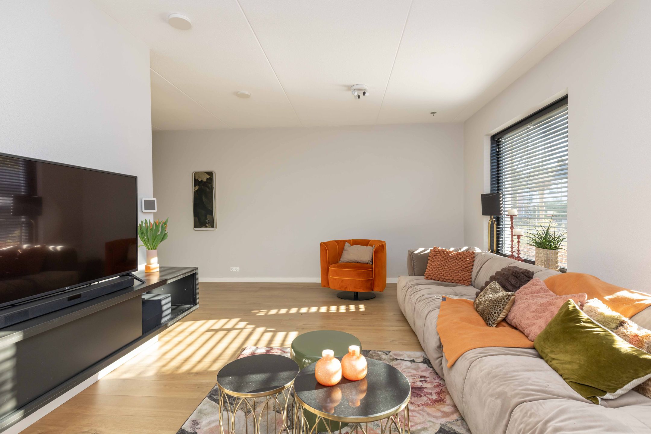 Foto 12 van Jupiter 34