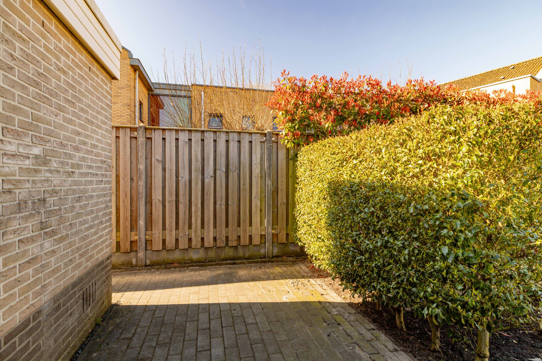 Foto 60 van Jupiter 34