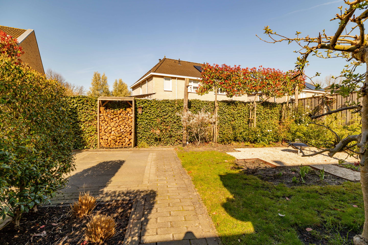 Foto 55 van Jupiter 34