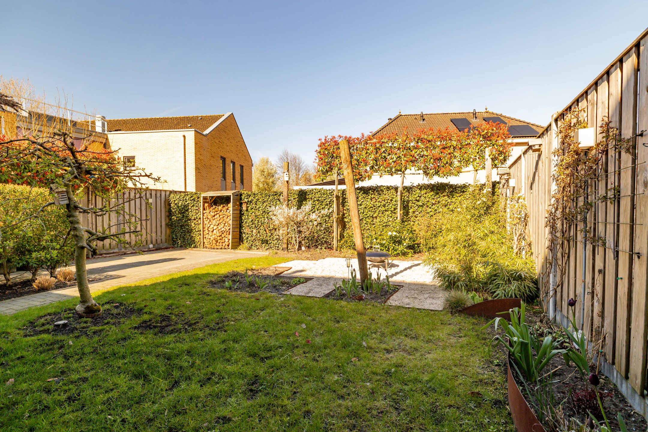 Foto 48 van Jupiter 34