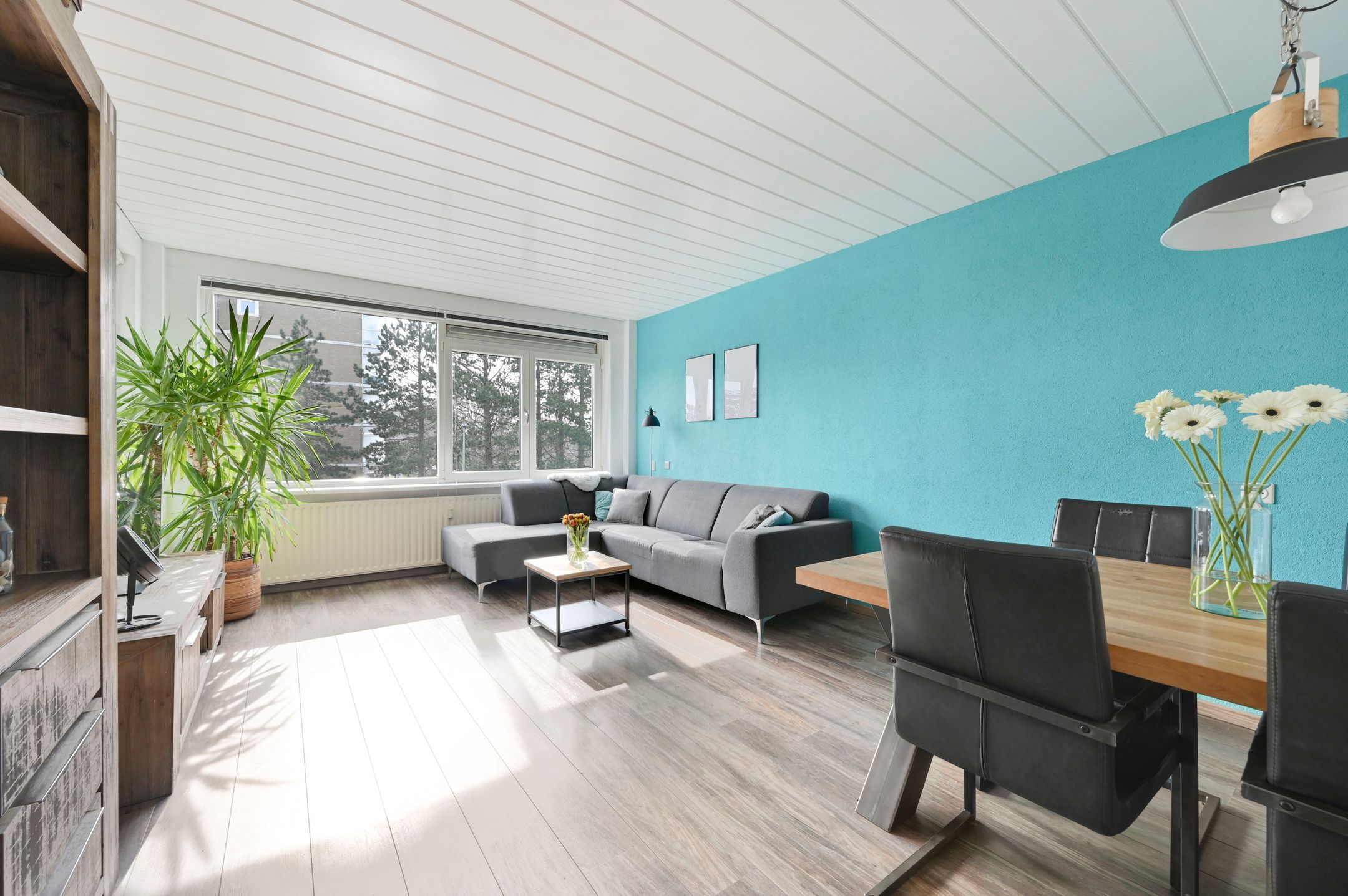 Foto 6 van Koekoekstraat 38