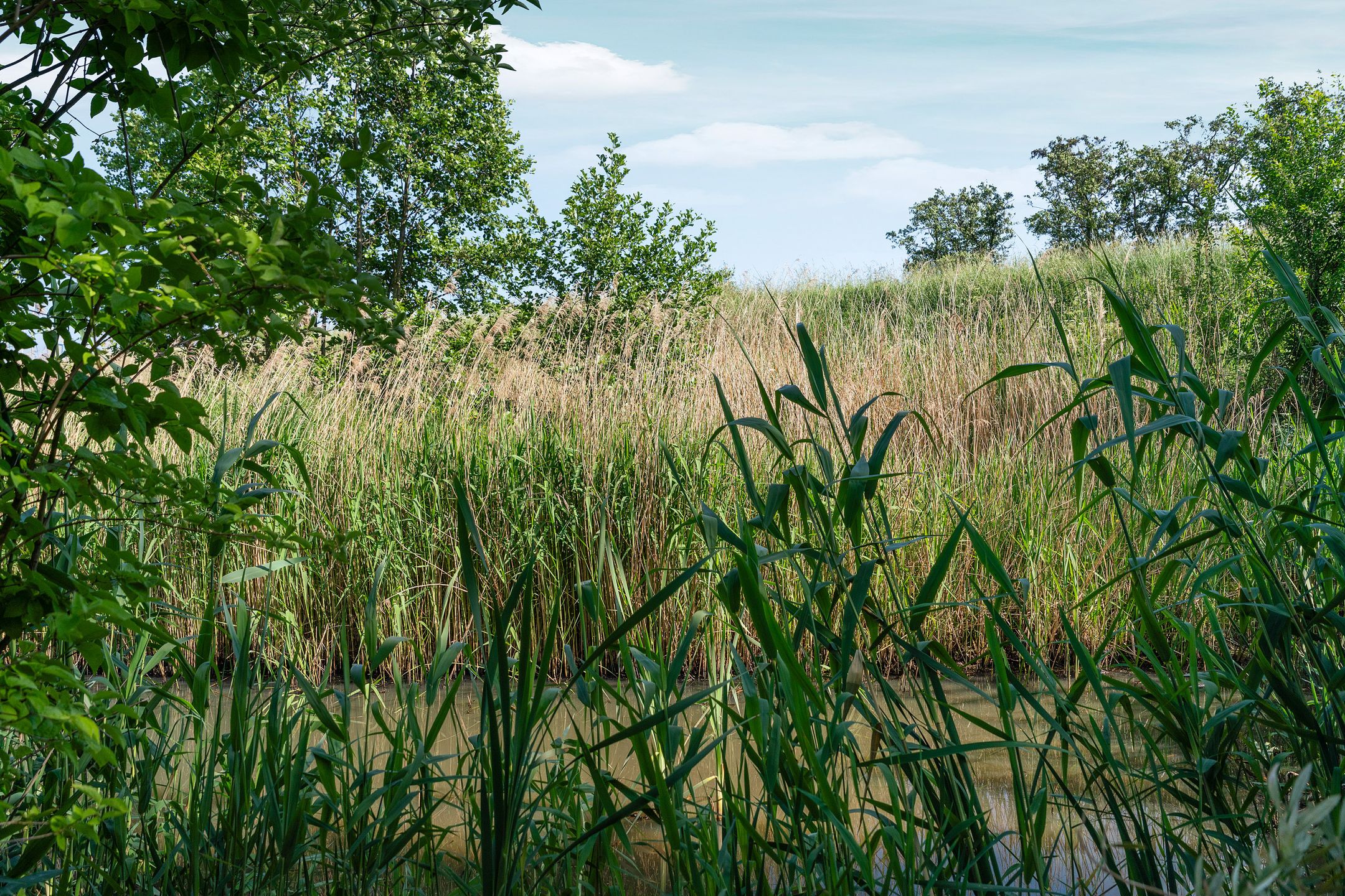 Photo 57 of Meidijk 17